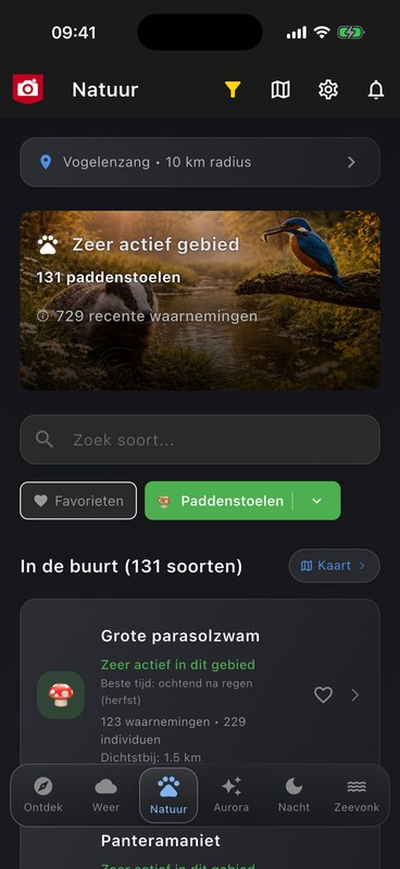 Natuur-tab met paddenstoelen in de omgeving