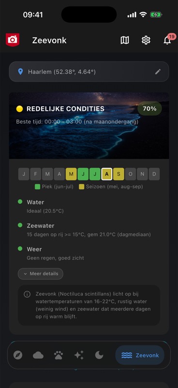 Zeevonk-kans aan de kust