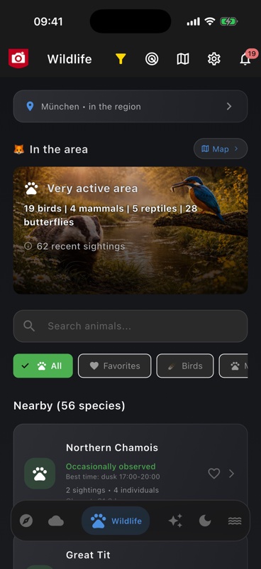 Wildlife nearby