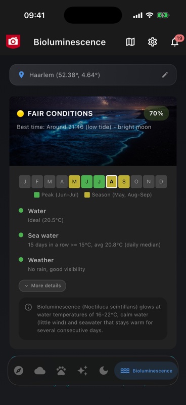 Bioluminescence odds on the coast